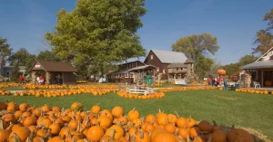 pumpkin patch in Omaha Nebraska