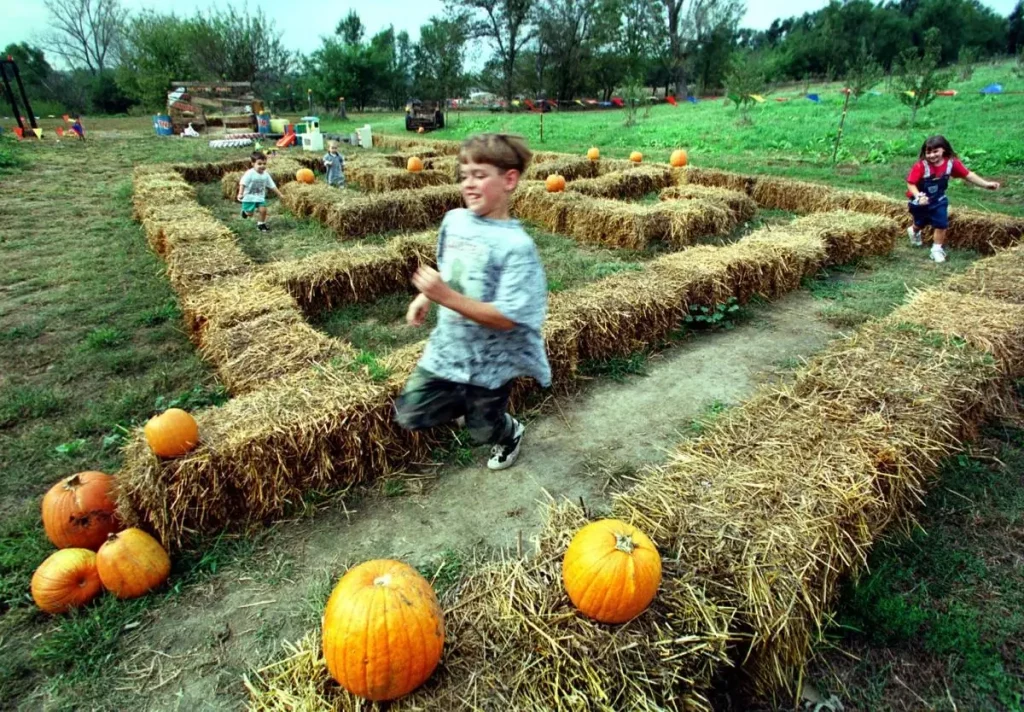 Pioneer Trail Orchard and Pumpkin Patch at Omaha, Nebraska