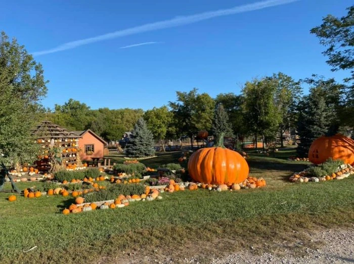 Roca Berry Farm pumpkin patch at Omaha