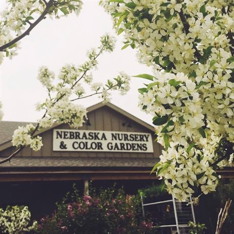 Nebraska Nursery & Color Gardens