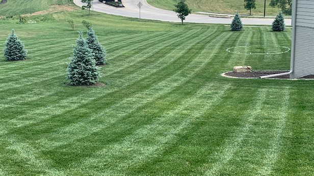 S.K. Lawn Care Maintenance and Services