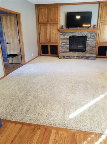 Mysteree Machine Carpet Cleaning