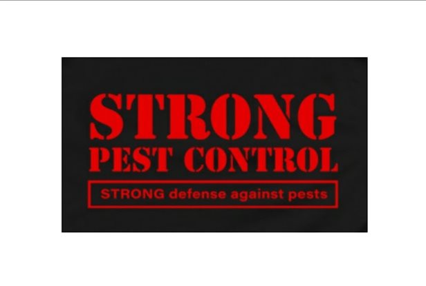 Strong Pest Control